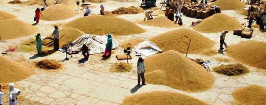 Patidar Anaj mandi
