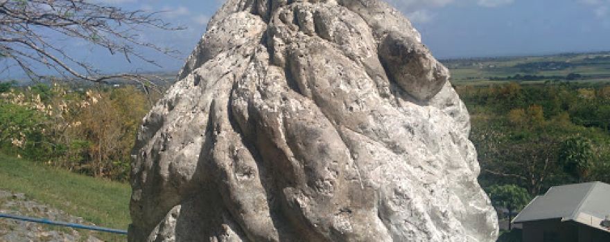 The Lion At Gun Hill