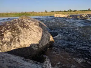 Bina Sangam