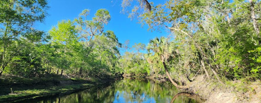 Steinhatchee Conservation Area