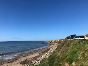Saltee Sauna