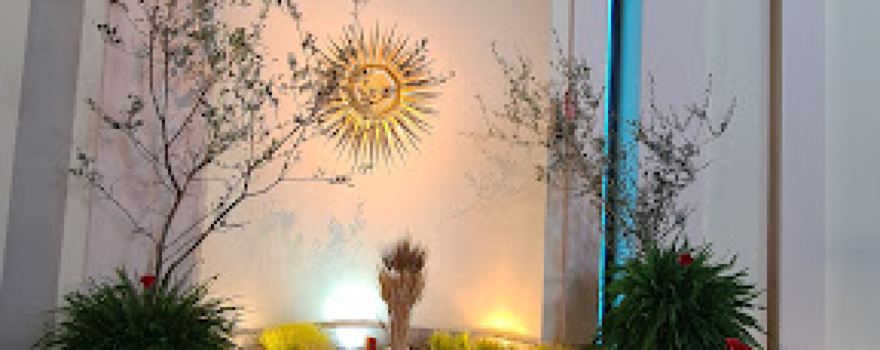Chiesa B.V. Maria Madre della Chiesa