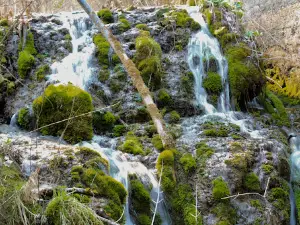 River Una Spring