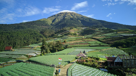 Wisata Negeri Sayur Sukomakmur (Terasering Sitegong Nampan)