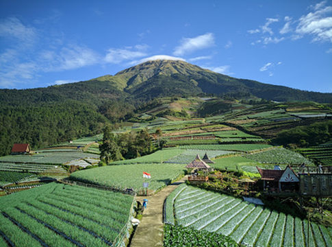 Wisata Negeri Sayur Sukomakmur (Terasering Sitegong Nampan)