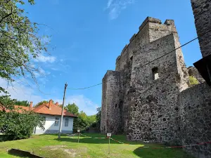 Levice castle