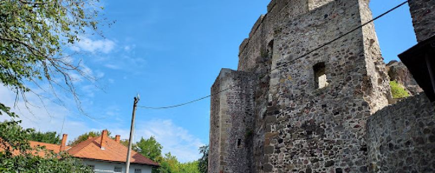 Levice castle