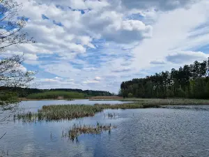Brodnicki Park Krajobrazowy