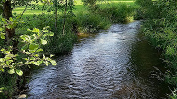 Campingplatz Hopfenmühle