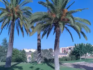 Alameda Park