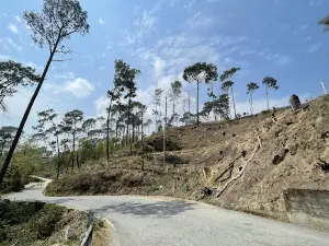 Mahendra Park