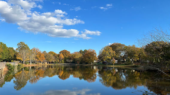 Roosevelt Wilson Park