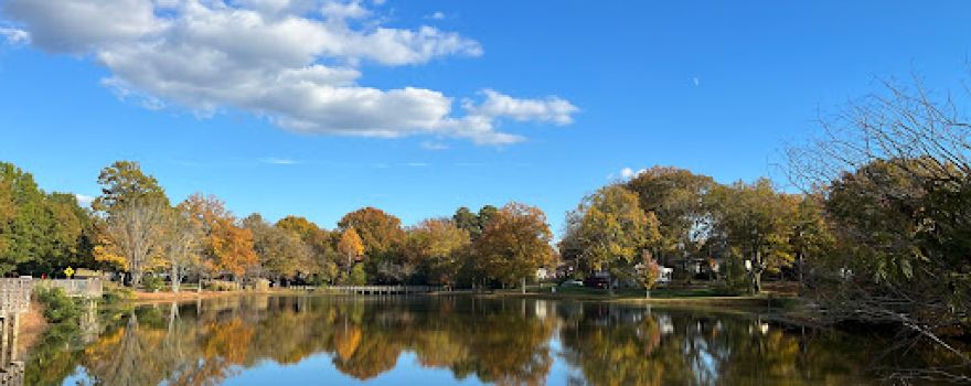 Roosevelt Wilson Park
