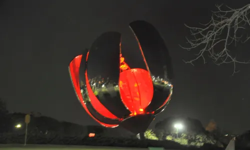 Floralis Generica