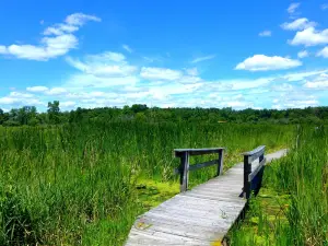 Moraine Hills State Park