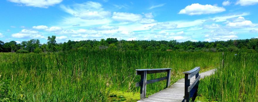 Moraine Hills State Park