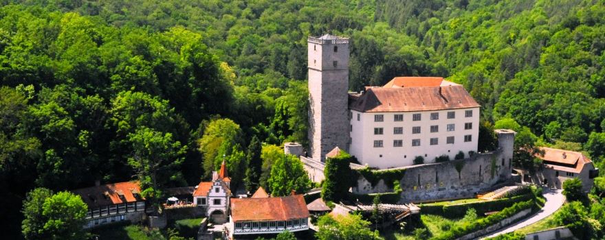 Guttenberg Castle (Burg Guttenberg)