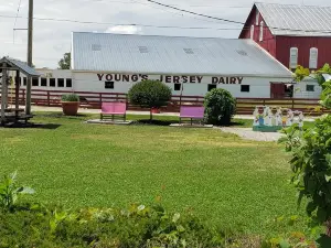 Young's Jersey Dairy