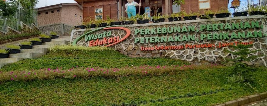 Kebun Pak Budi