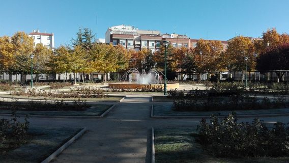 Parque of the Fiesta del Arbol