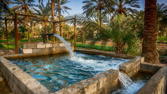 Al-Ahsa Oasis,