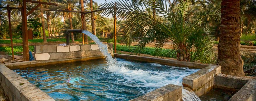 Al-Ahsa Oasis,
