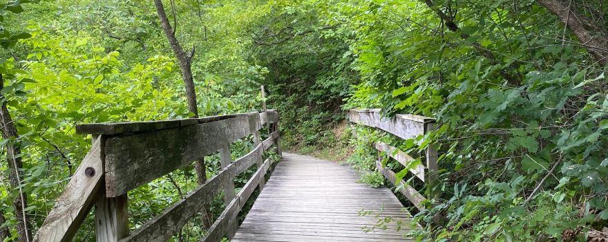 Ledges State Park