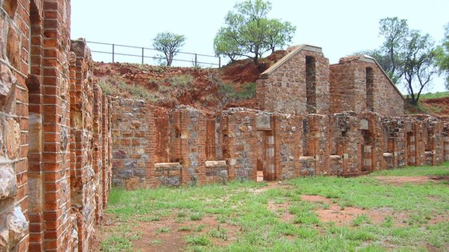 Wonderboom Nature Reserve