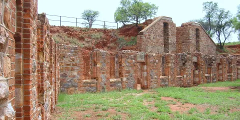 Wonderboom Nature Reserve