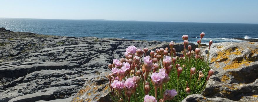 Burren and Cliffs of Moher Geopark