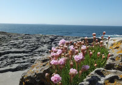 Burren and Cliffs of Moher Geopark