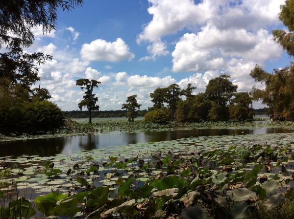 Lake Martin