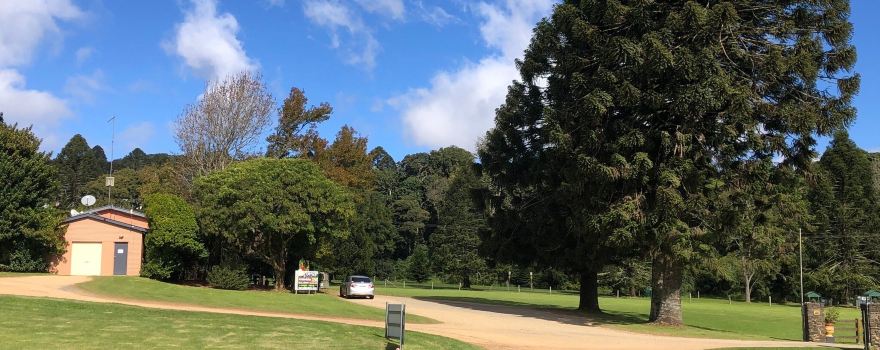 Bunya Mountains National Park