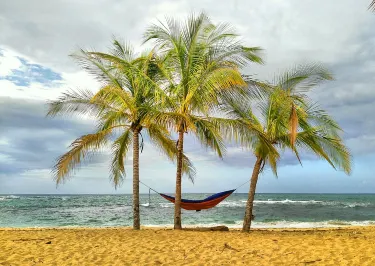 Manzanillo