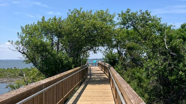 Assateague Island National Seashore