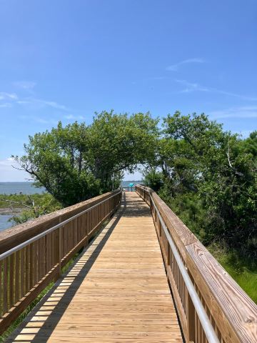 Assateague Island National Seashore