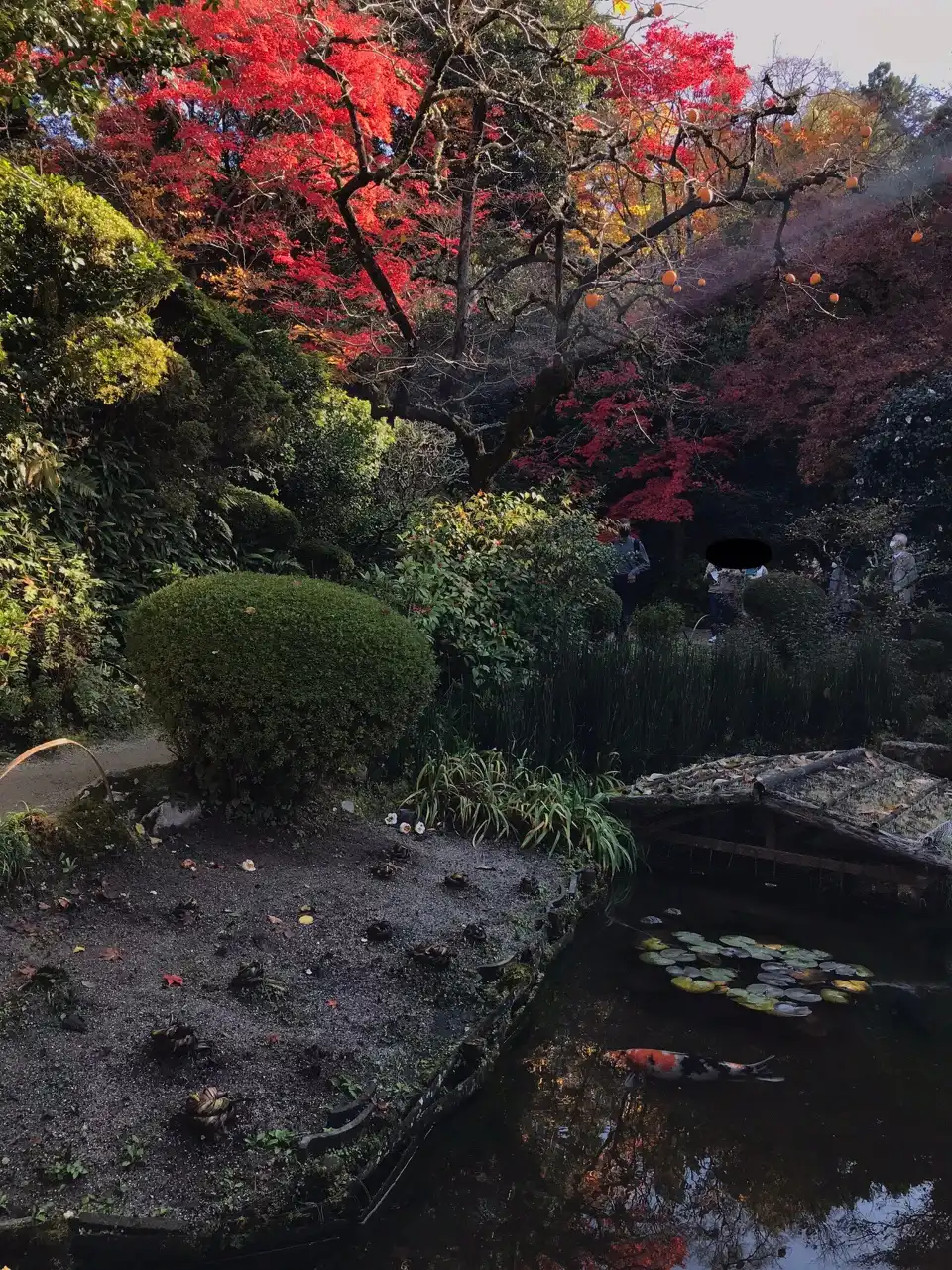 5_詩仙堂（丈山寺）