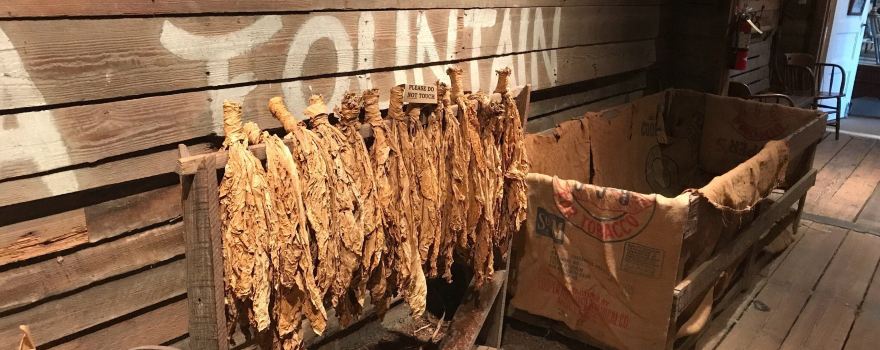 South Carolina Tobacco Museum