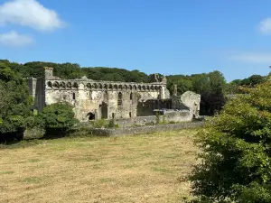 Llys yr Esgob, Tyddewi / St Davids Bishop's Palace