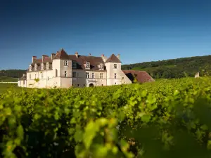Chateau du Clos de Vougeot