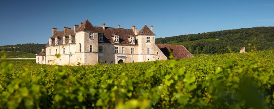 Chateau du Clos de Vougeot