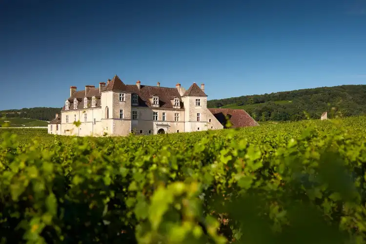 Hotels in Vougeot