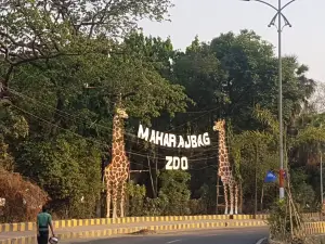 Maharaj Bagh Zoo