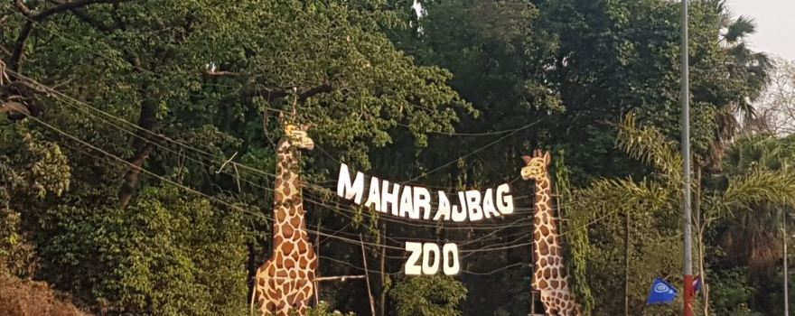 Maharaj Bagh Zoo