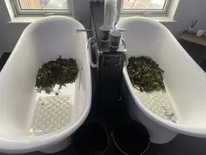 VOYA Seaweed Baths