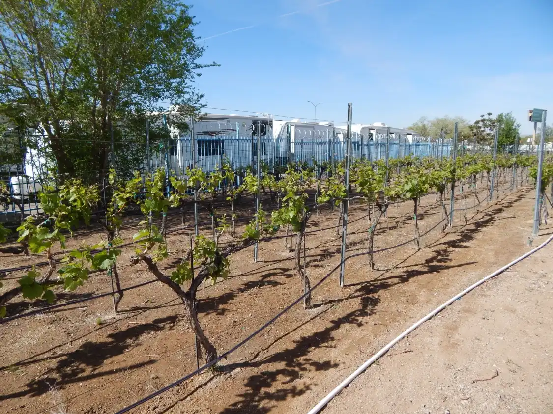 Hotels near Gruet Winery & Tasting Room