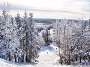 Mount Jamieson Resort