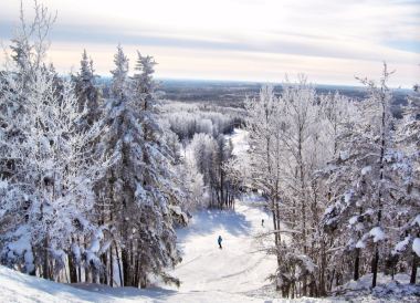 Timmins