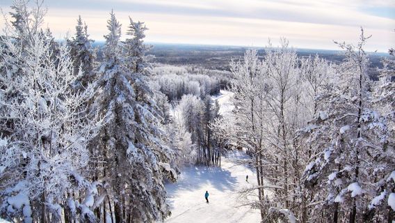 Mount Jamieson Resort