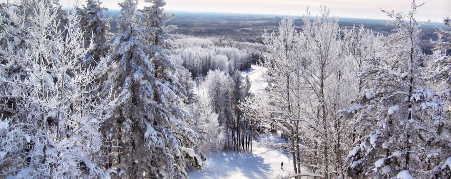 Timmins